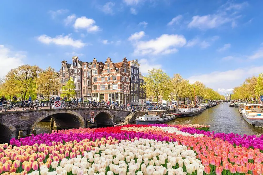 Amsterdam Bridge Flowers Canal Image