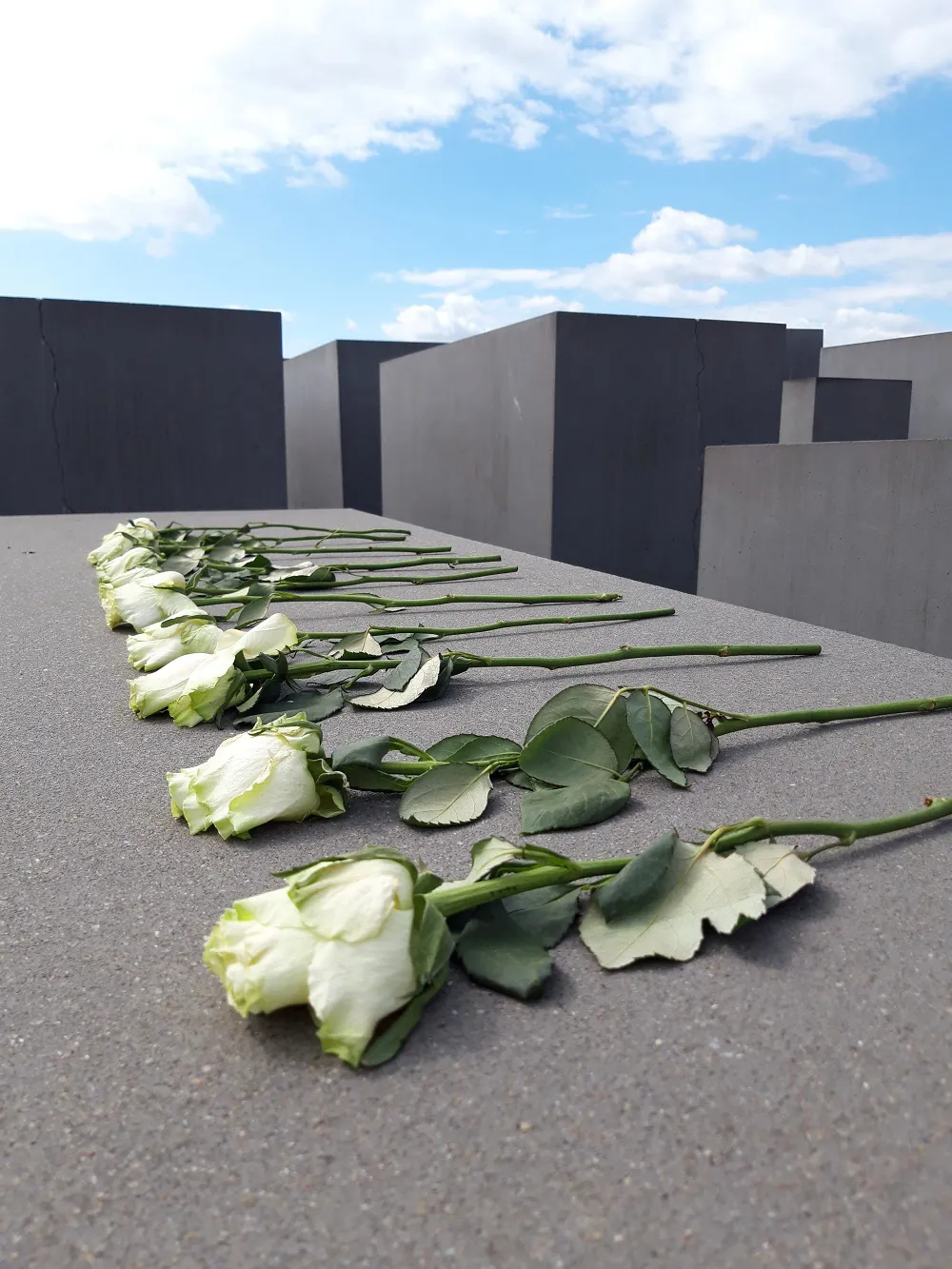 Roses, Memorial to the Murdered Jews of Europe, Berlin