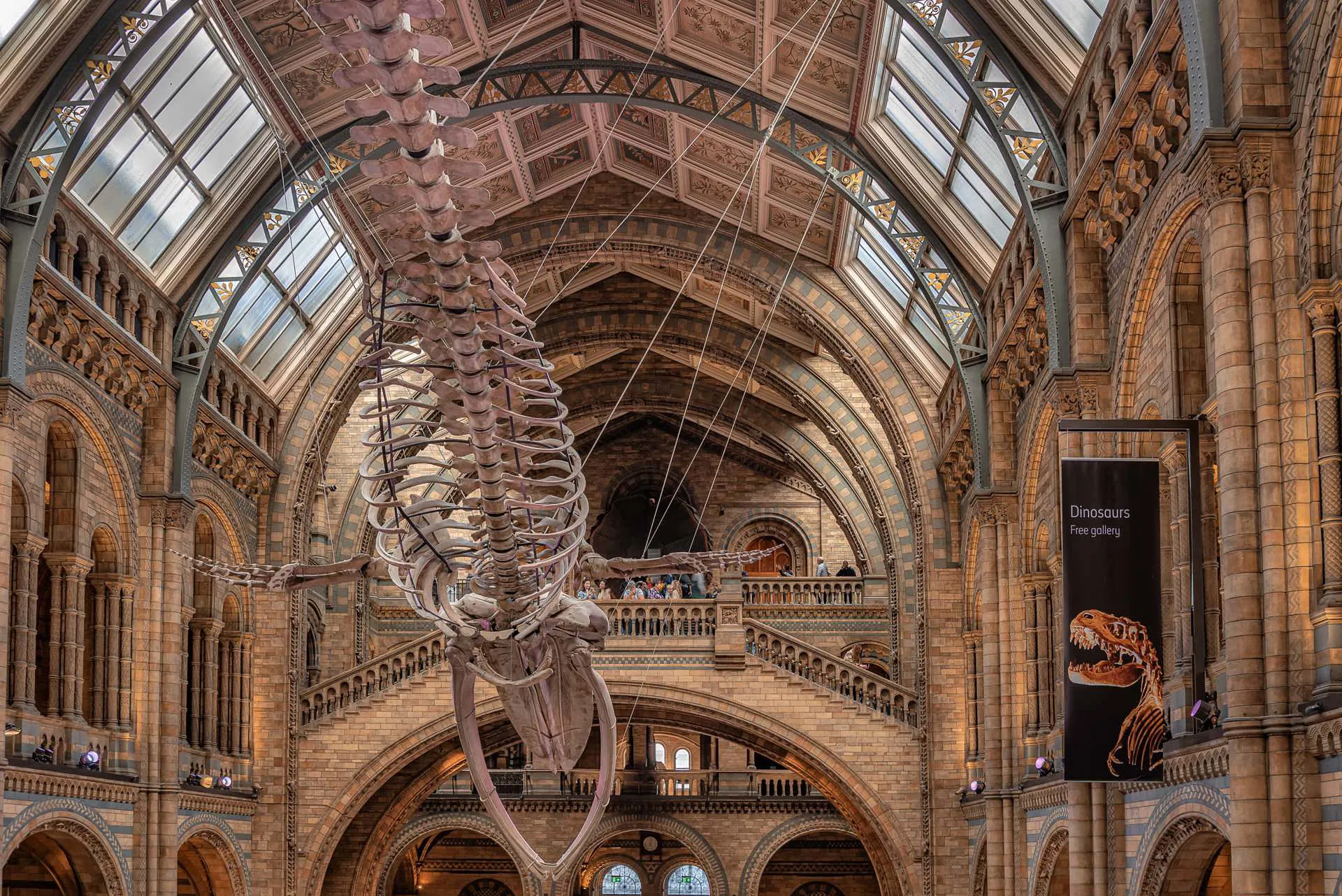 London Natural History Museum