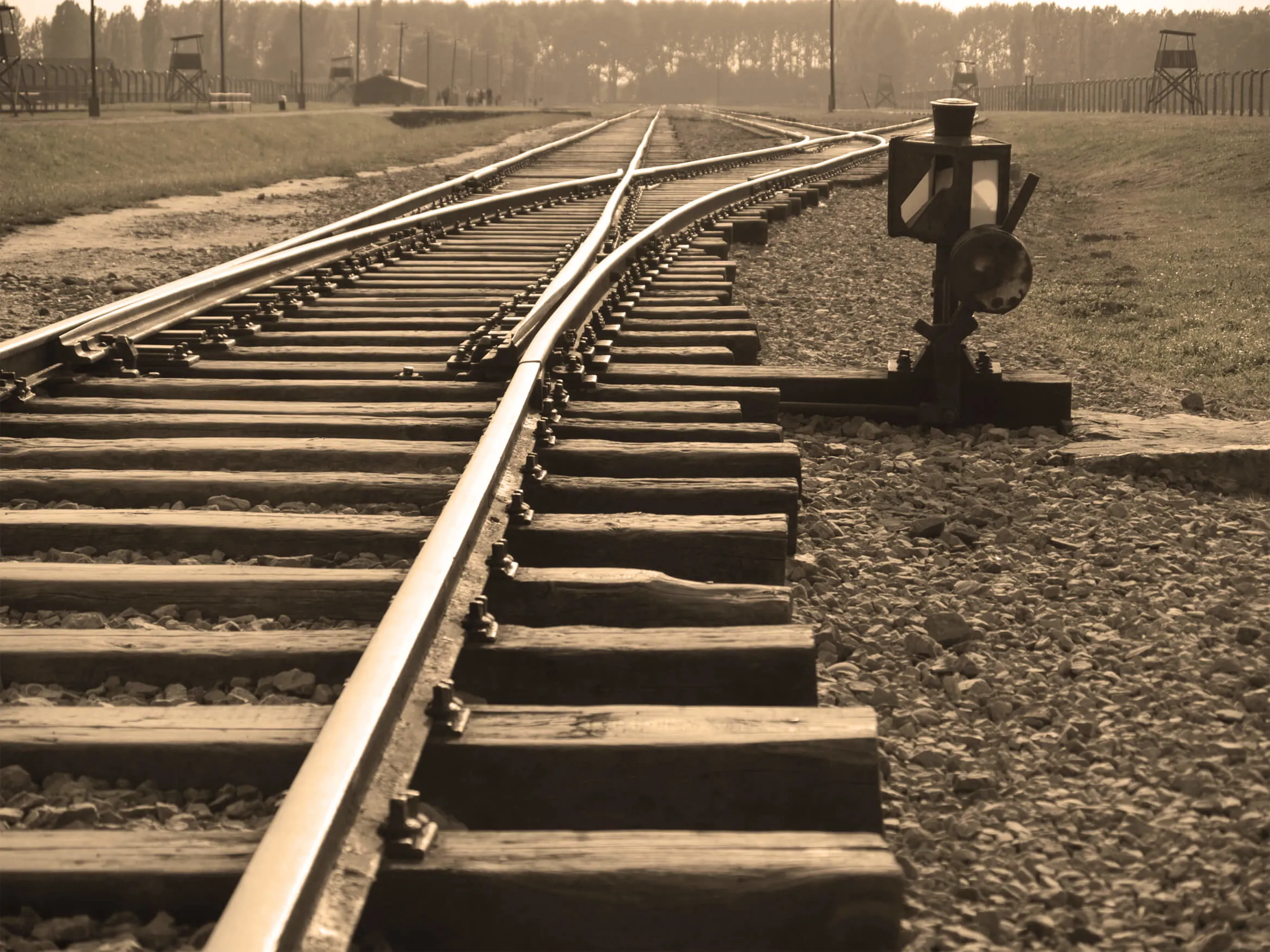 Krakow Auschwitz Train Tracks Image