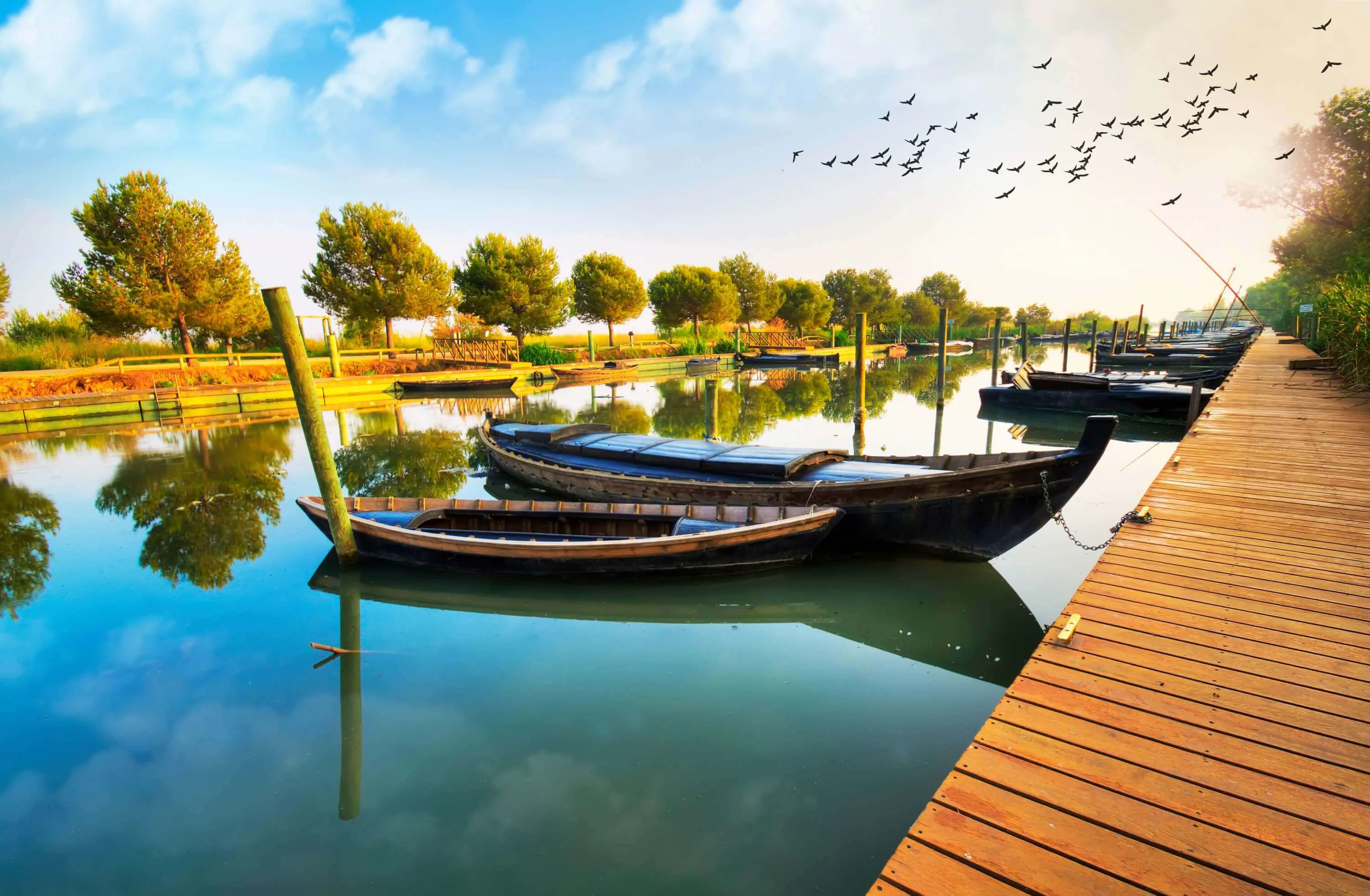 Valencia - La Albufera Natural Park boats