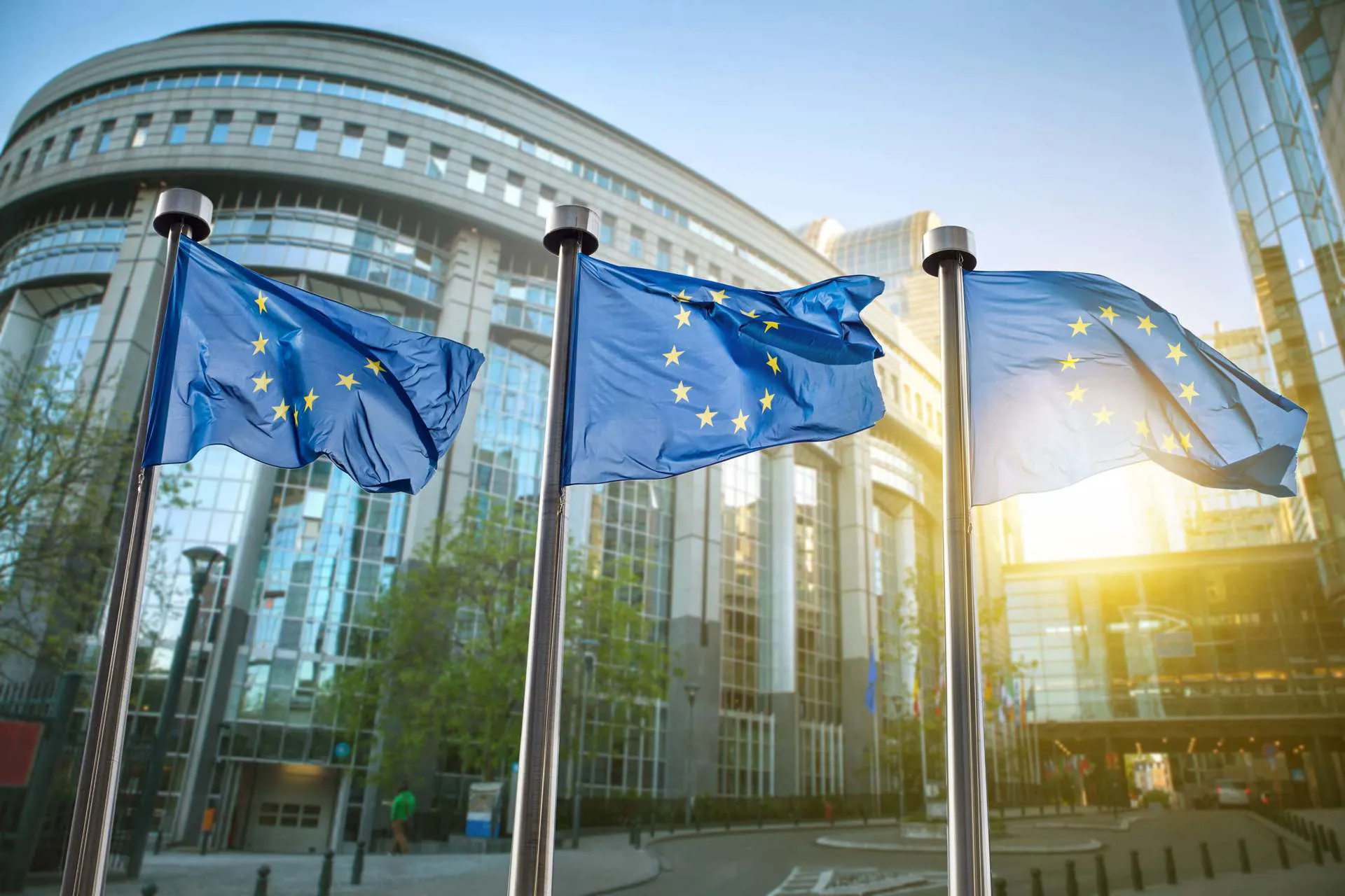 Brussels European Parliament Flags Image