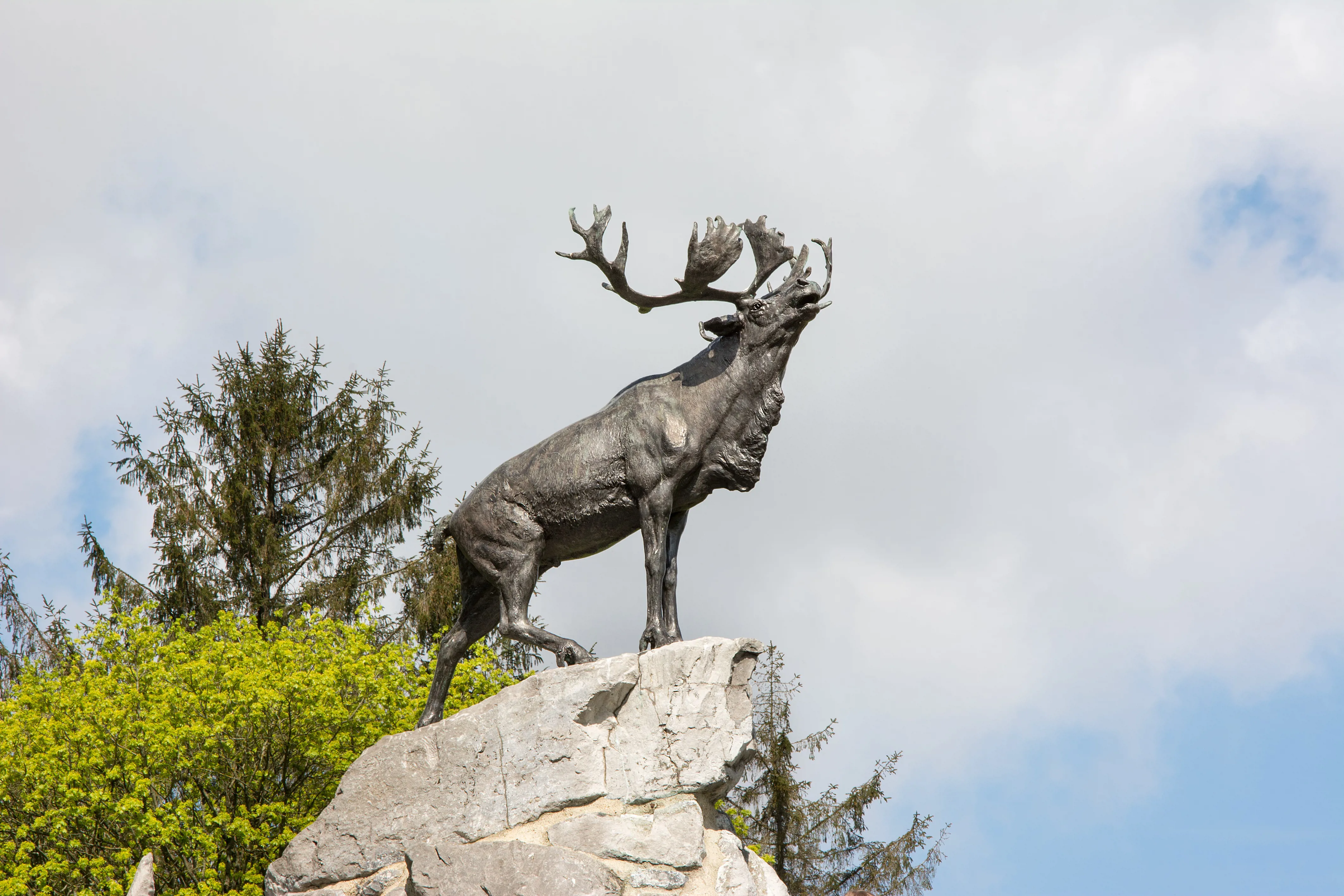 Newfoundland Park Image