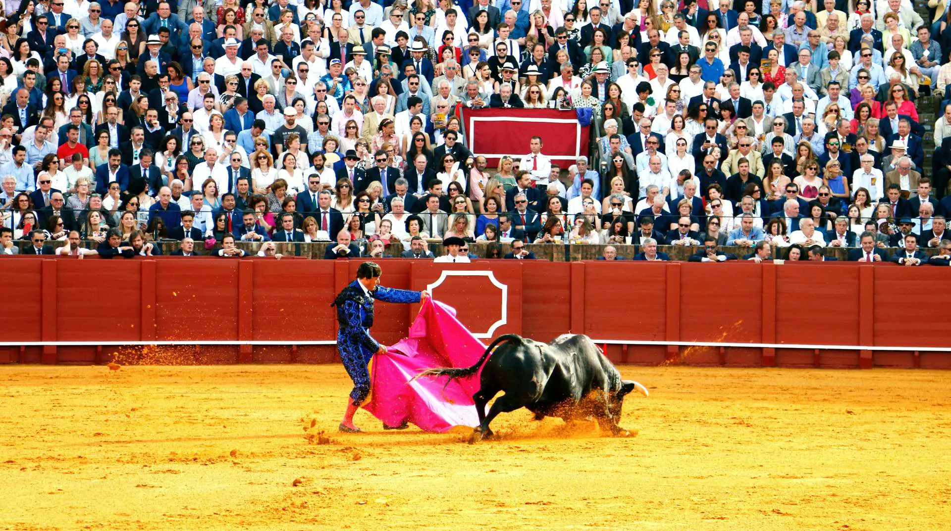 Madrid Bull Fighting Image