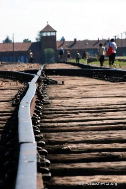 Train tracks - Auschwitz Birkenau