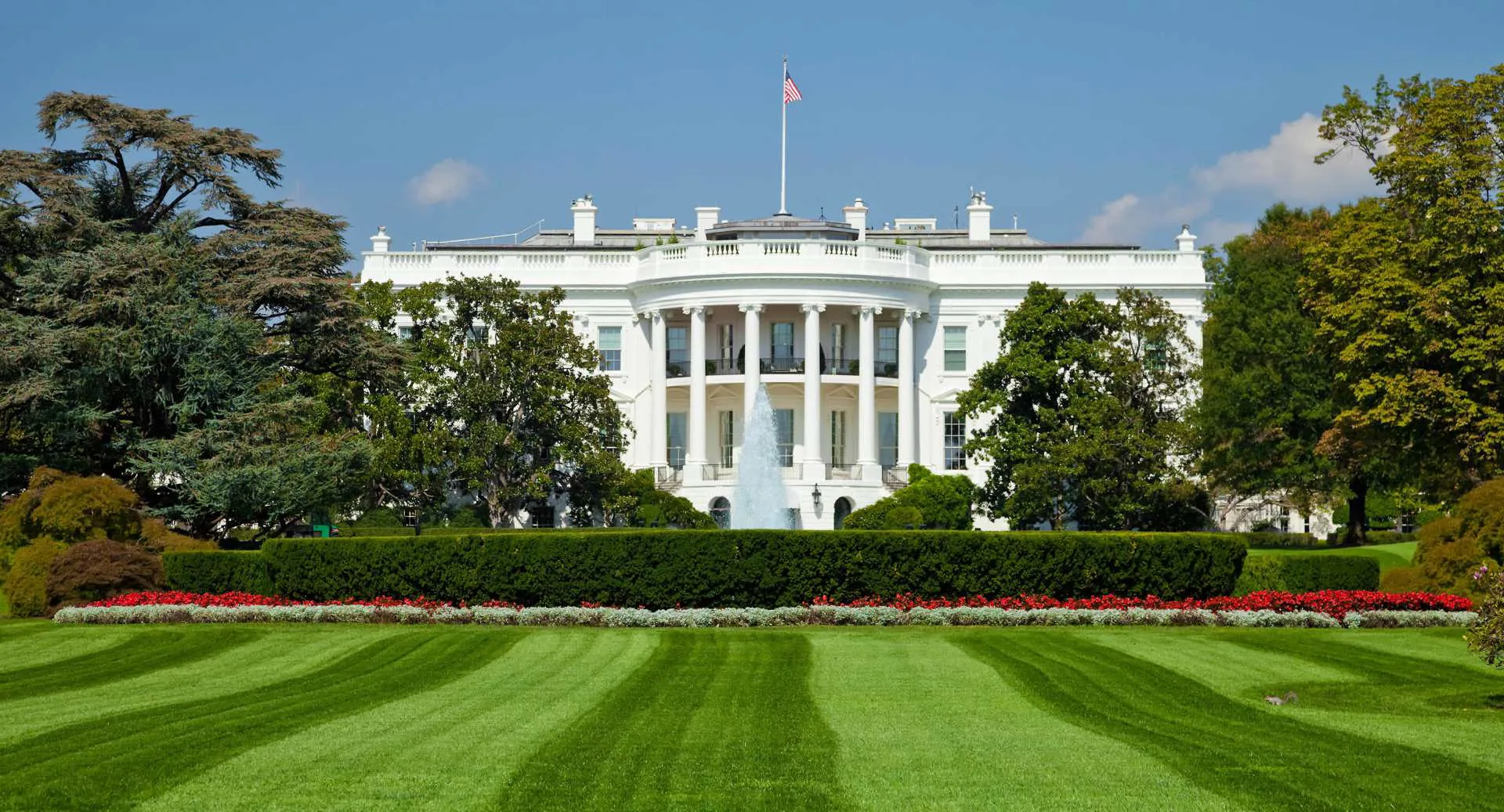 The White House Image