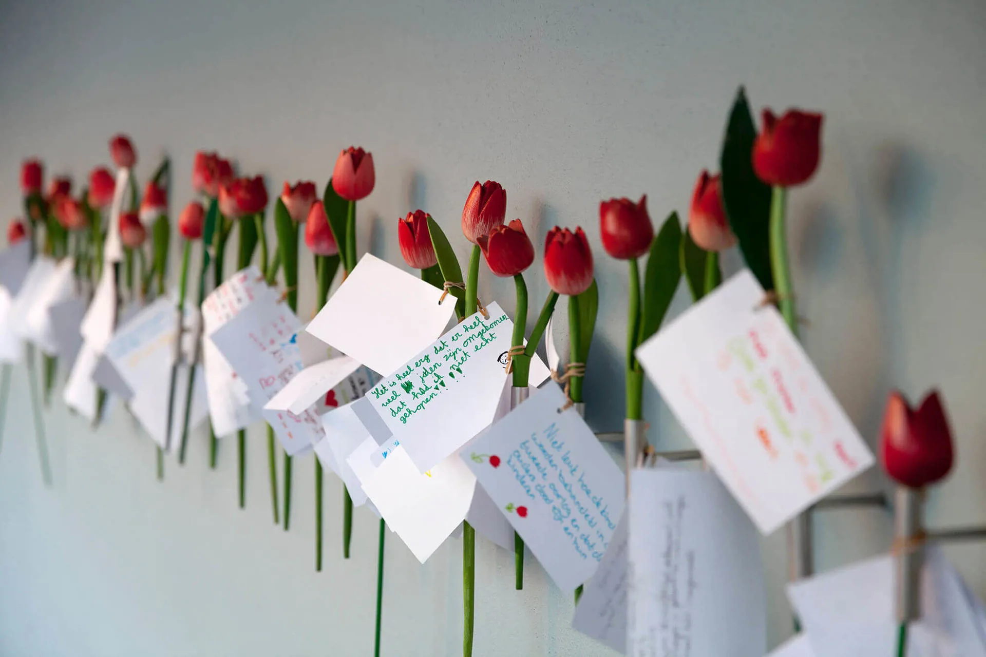 Amsterdam Holocaust Memorial & Dutch Theater Flowers