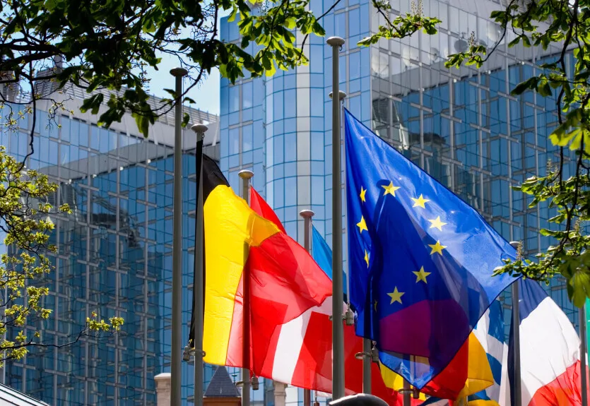 Brussels European Parliament Flags 2 Image